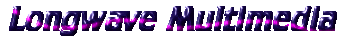 LONGWAVE MULTIMEDIA